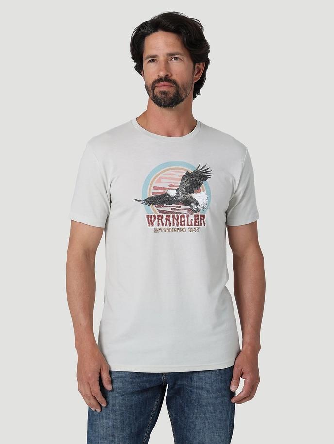 Men's Soaring Eagle Graphic T-Shirt In Lunar Rock Heather