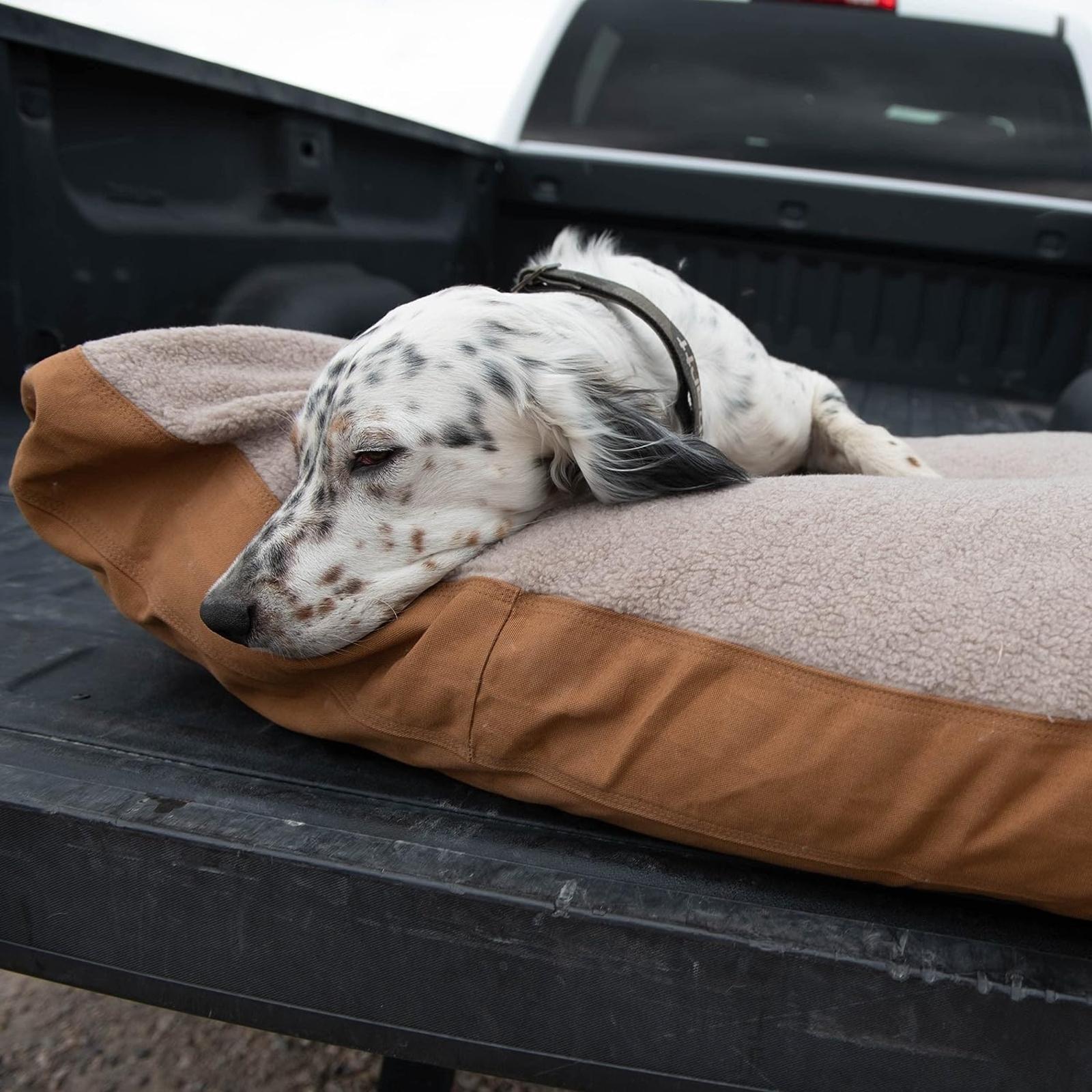 Carhartt Firm Duck Dog Bed dog on the bed view