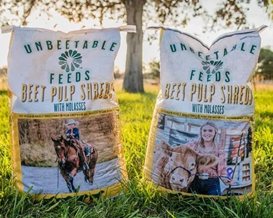 Unbeetable Feeds Beet Pulp Shreds With Molasses