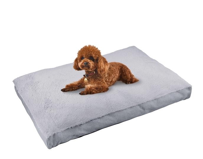 plush bed with dog