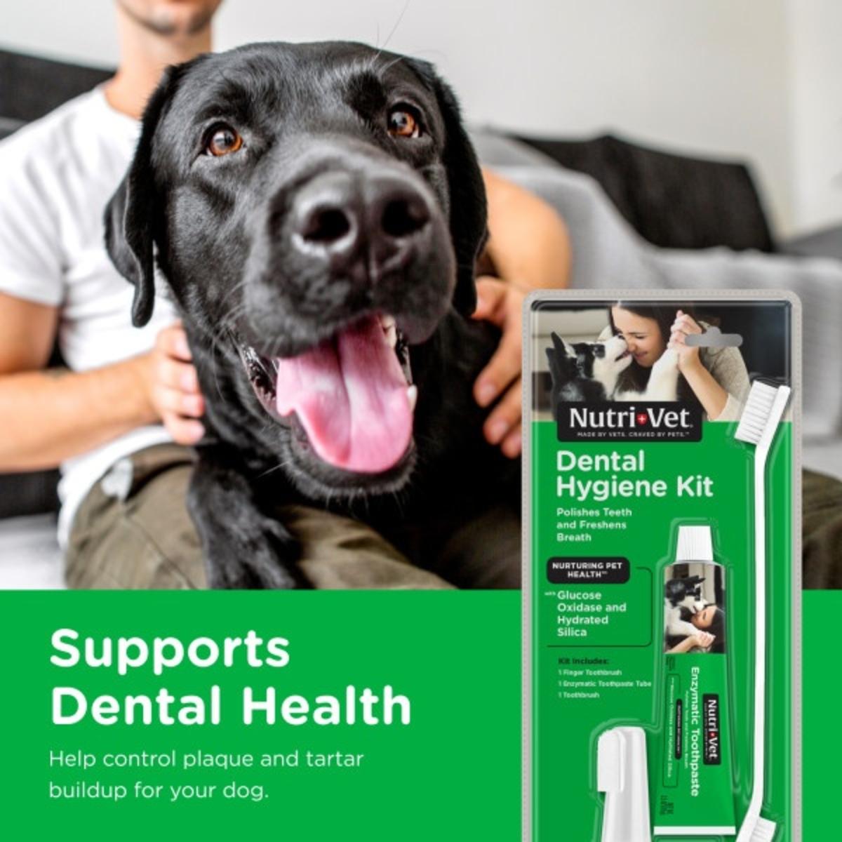 Nutri-Vet Dental Hygiene Kit for Dogs