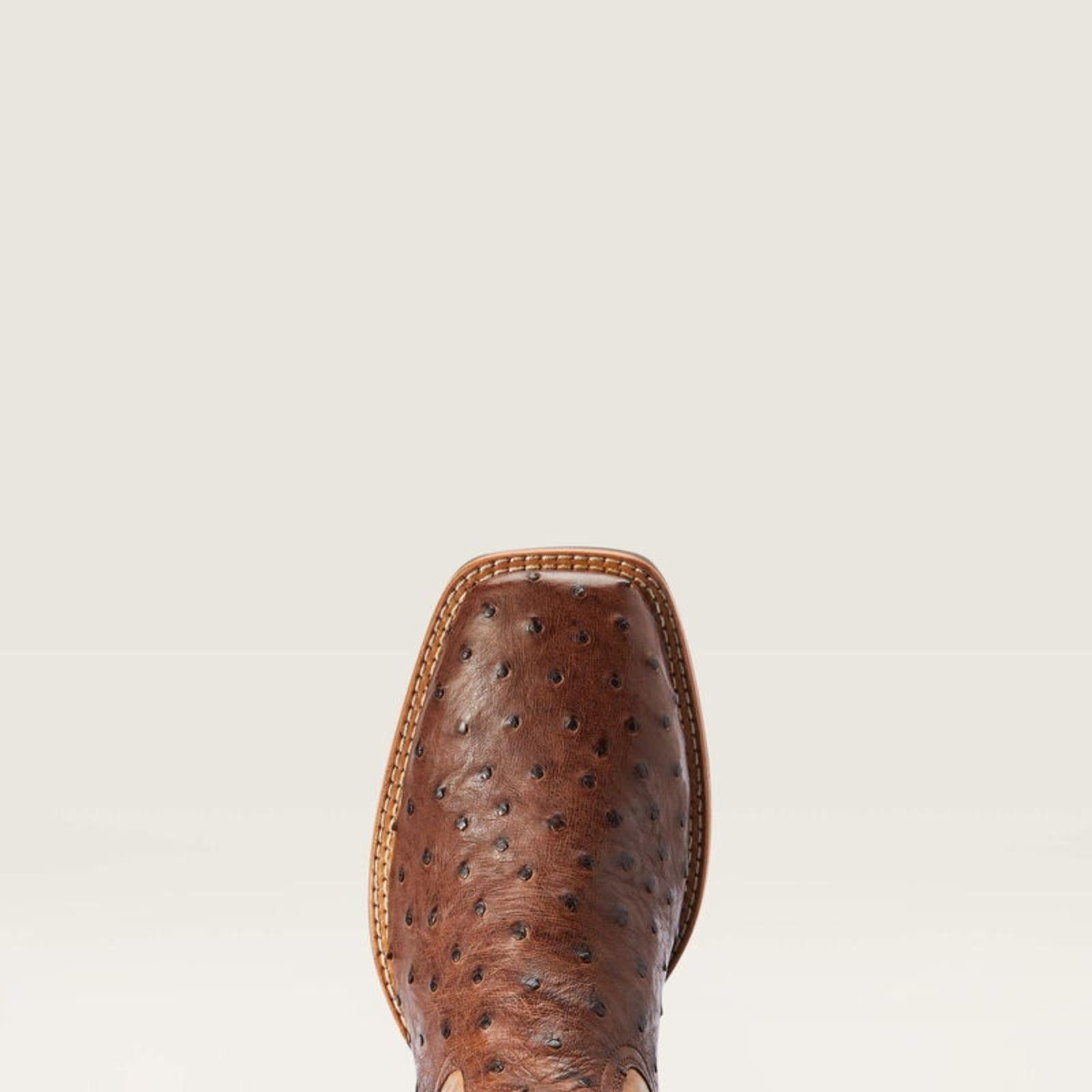 Tabac Ostrich Toe