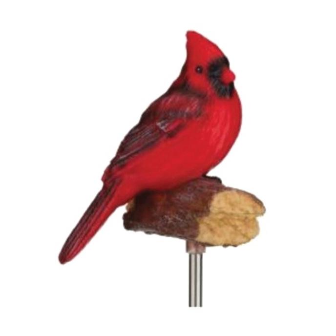 Cardinal