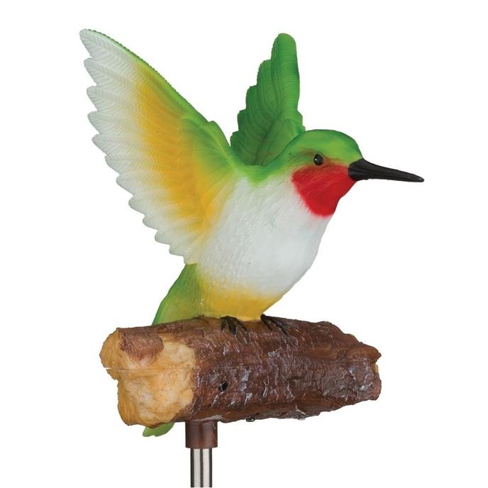 Hummingbird