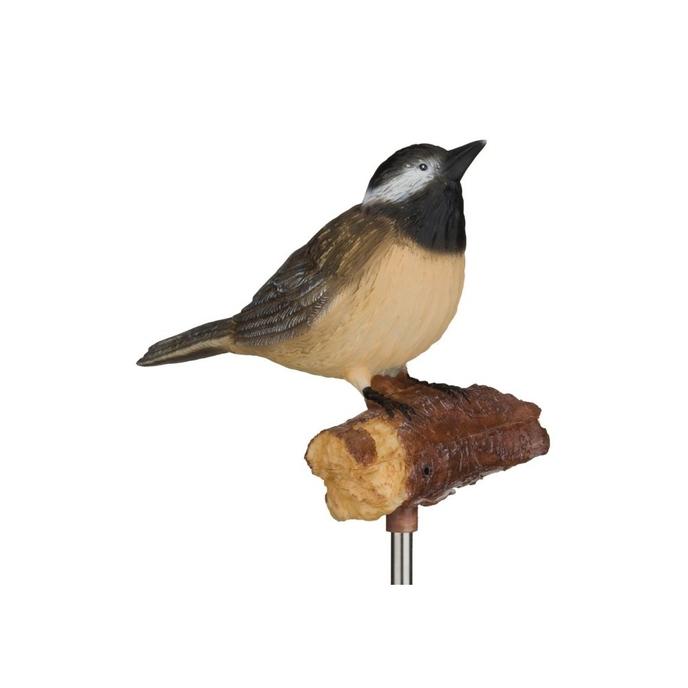 Chickadee