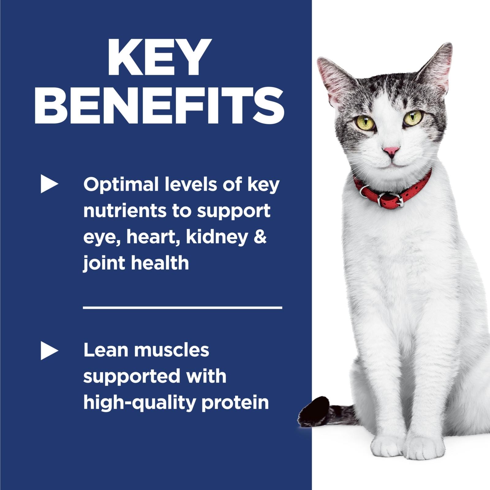 Key Benefits