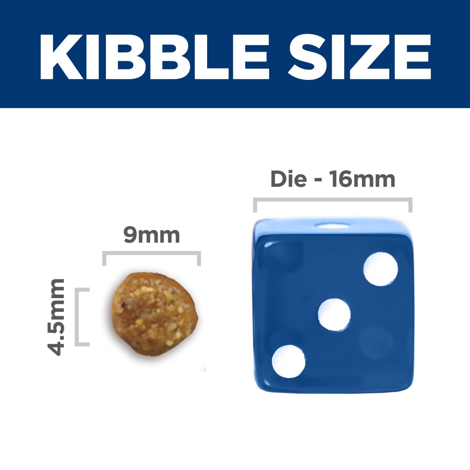 Size