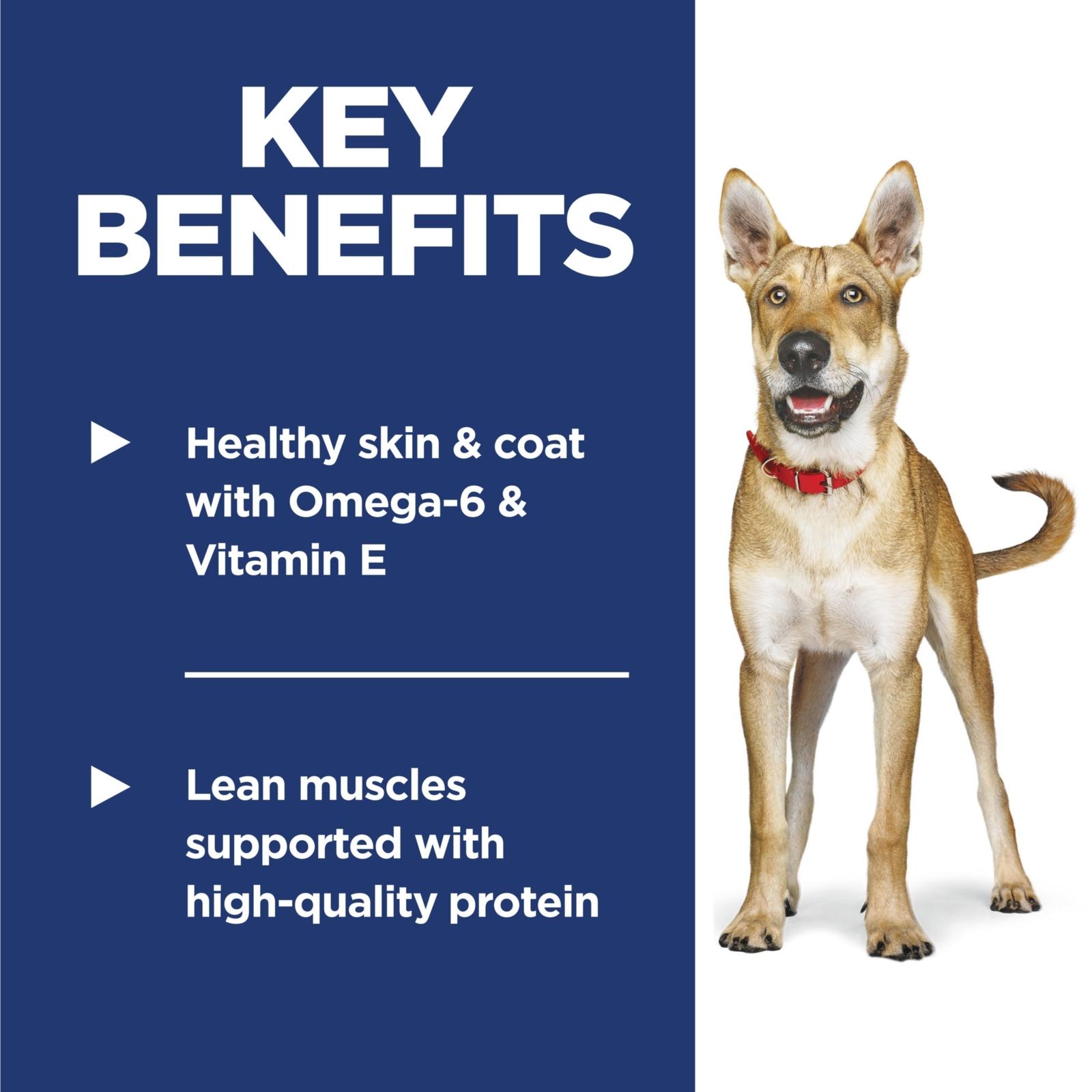 Key Benefits