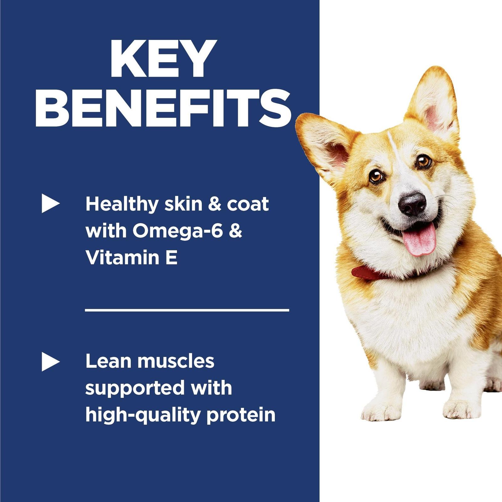 Key Benefits