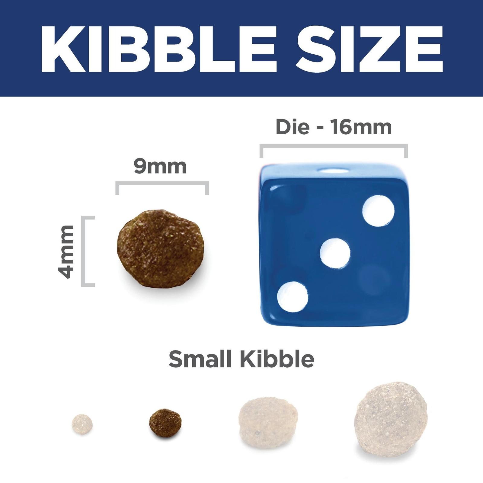 Size
