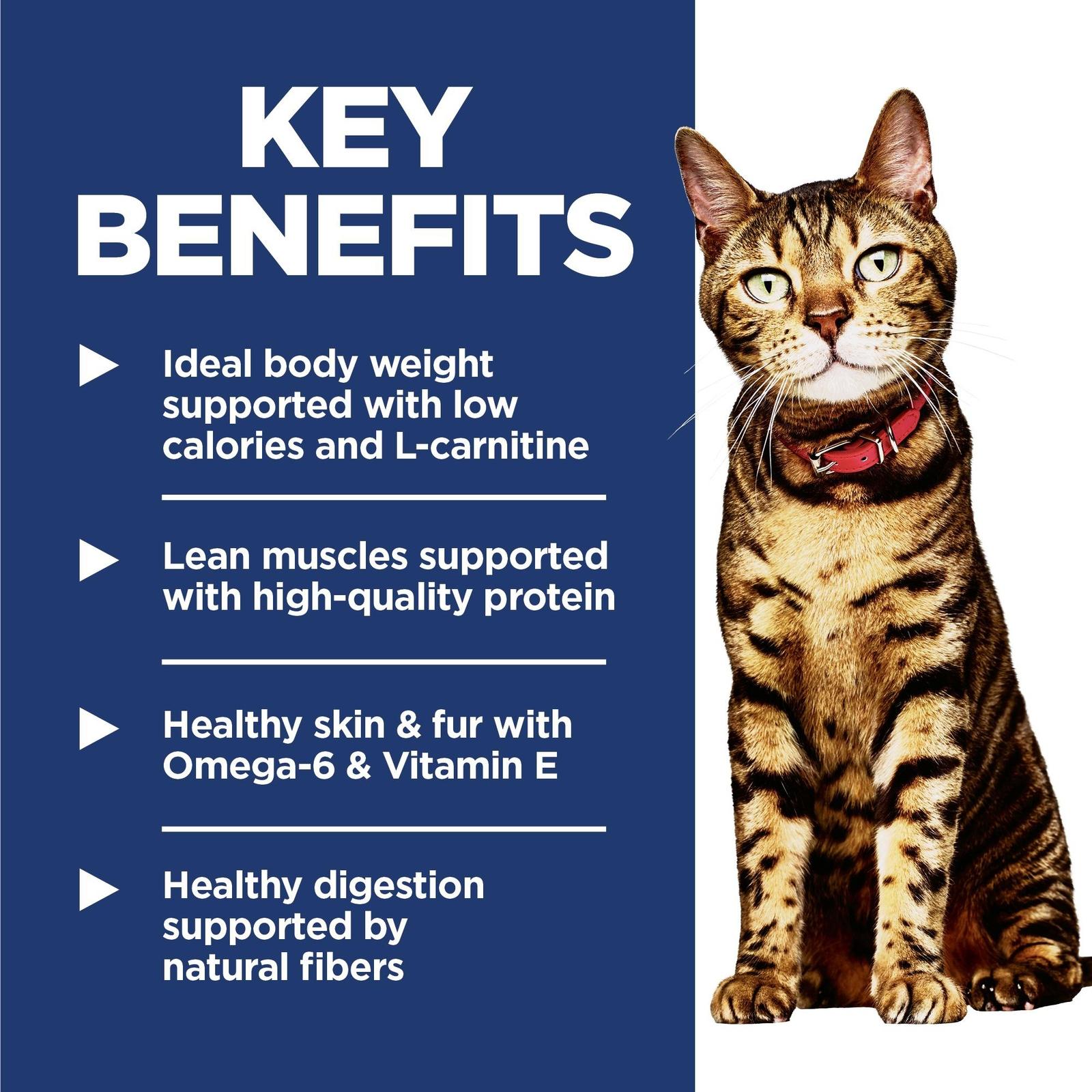 Key Benefits