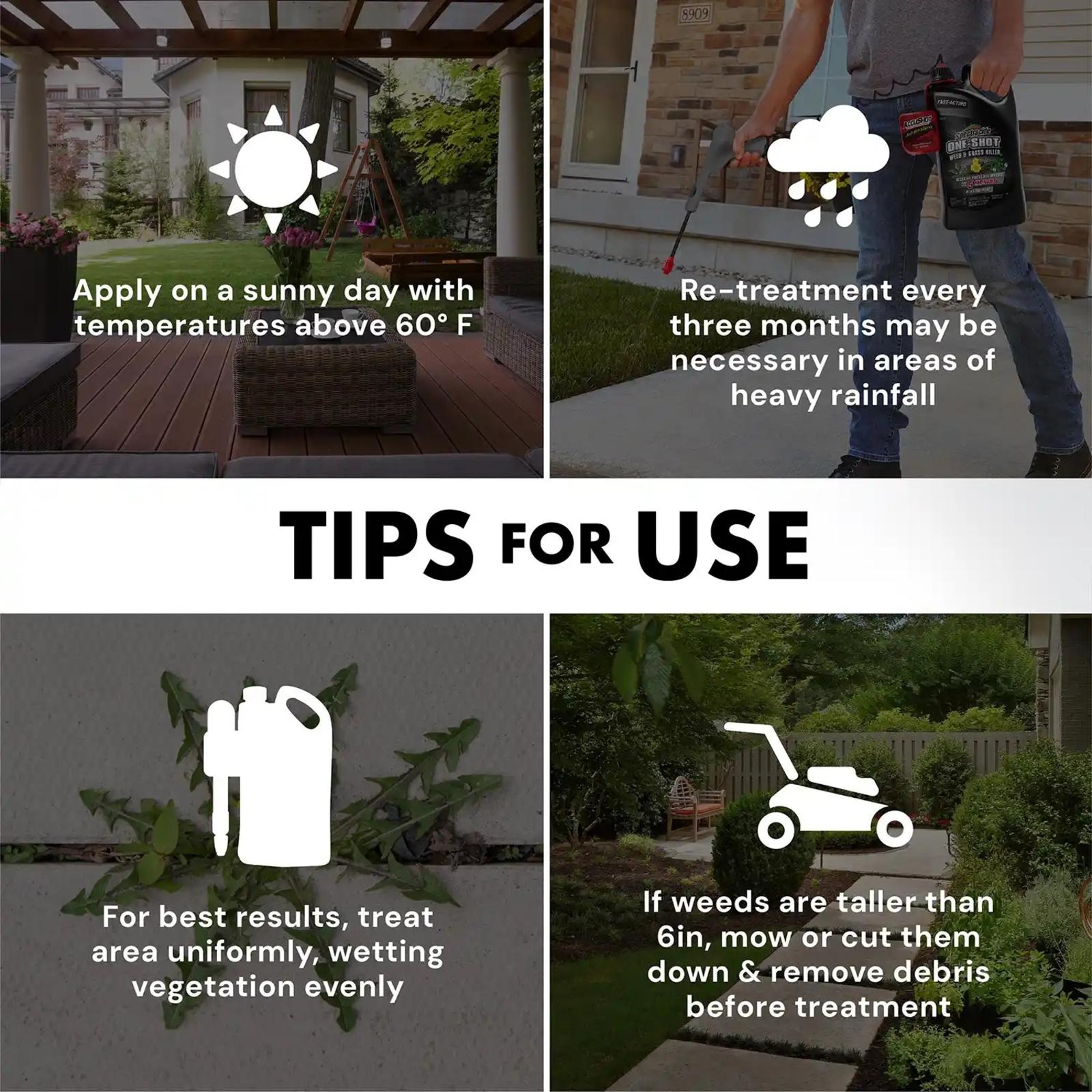Tips