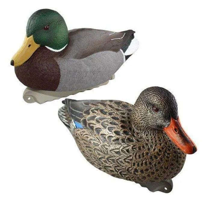 Pair