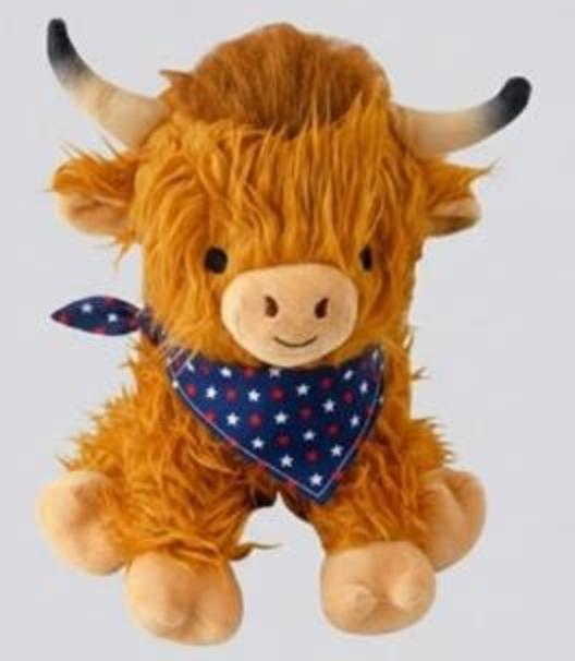 American Highland Cow