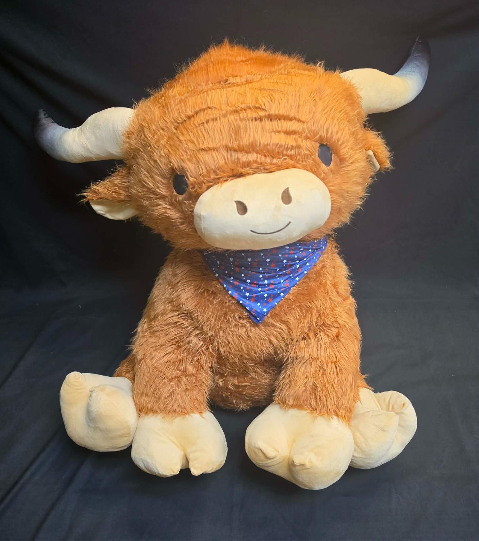 American Highland Cow