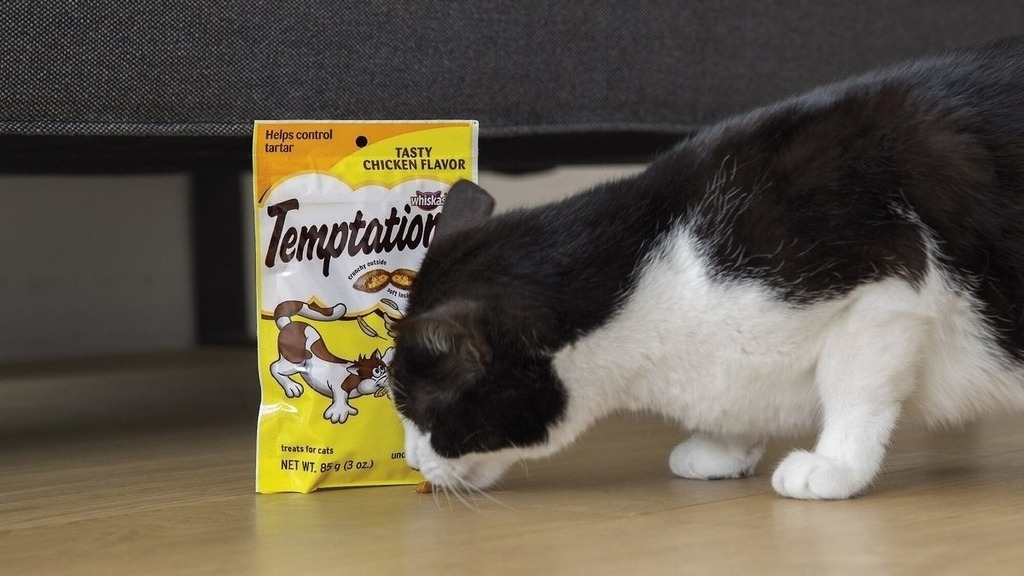 Shop All Cat Products