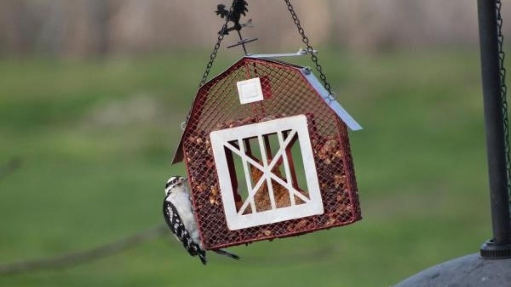 Birds & Wildlife Products