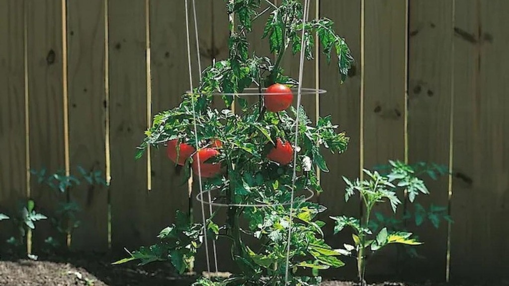 Landscaping & Garden Care Products