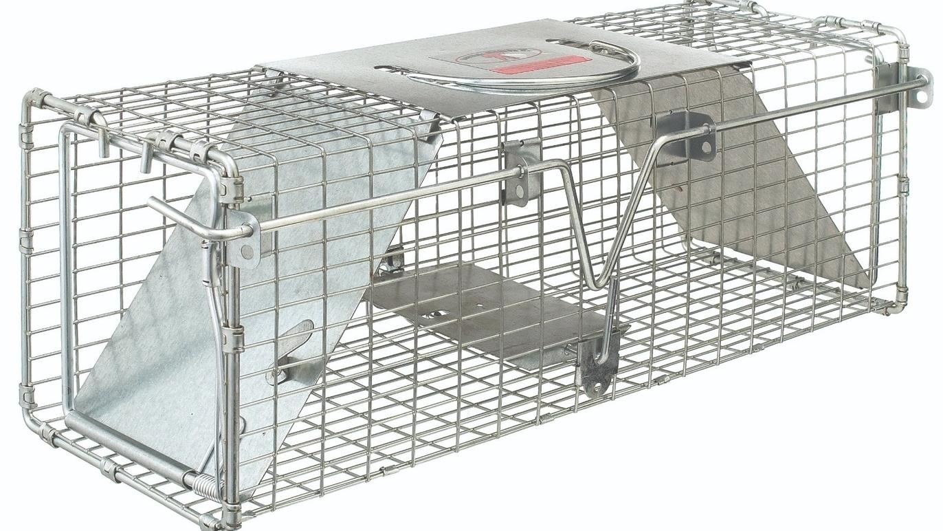 Pest Control Products